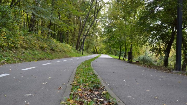 Dual pathways through a tranquil forest setting in early fall, with lush green foliage.